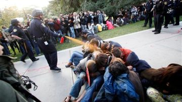 Momentos en que estudiantes eran rociados con gas pimienta en la Universidad de California, Davis.