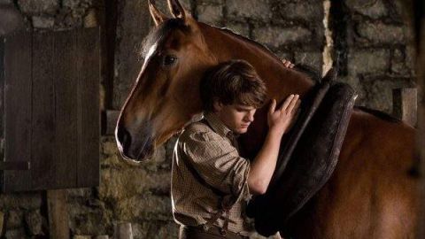 Jeremy Irvine en una escena de 'War Horse'.