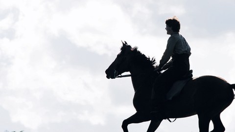'War Horse' es la segunda película de Steven Spielberg que se estrena esta semana tras 'The Adventures of Tintin'.