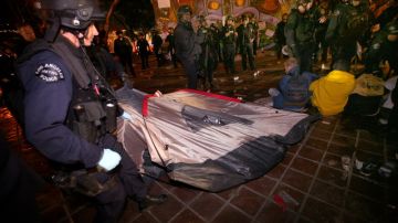Un manifestante es arrestado en  'Ocupemos'  Los Angeles fuera del la alcaldía, cuando desmantelaban el campamento.