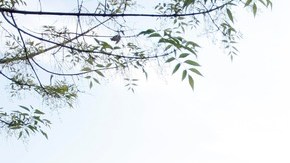 De esta cárcel también se escapó 'El Chapo' Guzmán.