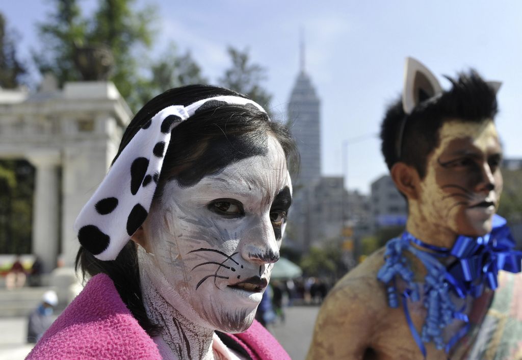 Activistas del grupo defensor de los animales AnimaNaturalis protestan semidesnudos y maquillados como mascotas en Ciudad de México.