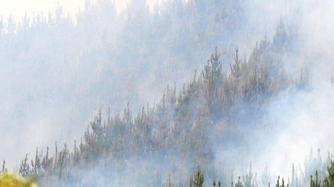 El fuego, que dejó seis muertos, se produjo a primera hora de la tarde del jueves en una zona denominada Rinconada de Los Laureles