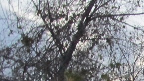 Según estudios, el Río San Jacinto ha sido afectado por la contaminación en diferentes áreas.