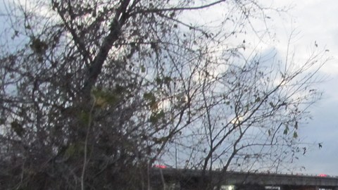 Según estudios, el Río San Jacinto ha sido afectado por la contaminación en diferentes áreas.