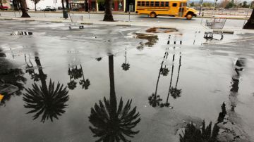 Las palmeras se reflejan en un charco que dejó la lluvia ayer en un estacionamiento de Reseda.