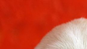 IM_20120207_LOCALES_120209641