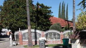 Se extiende por  2.4 millas cuadradas y debe su nombre a la  Misión San Fernando Rey de España.