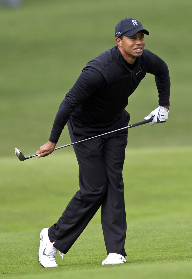 Tiger Woods observa atento un disparo en el último hoyo.