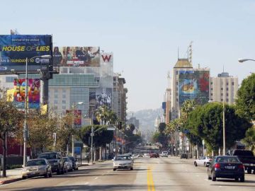 La ciudad de Hollywood se encuentra en pleno proceso de revitalización y se  ha consolidado como una de las comunidades más diversas.