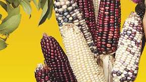 El nuevo CD de Lila Downs incluye piezas clásicas de  la música mexicana como 'Cucurrucucú paloma' y 'Vámonos'.