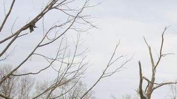 Socorristas ayudan a limpiar los escombros dejados por  el paso del tornado en el vecindario de Harrisburg, en Ilinois.