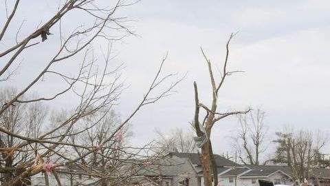 Socorristas ayudan a limpiar los escombros dejados por  el paso del tornado en el vecindario de Harrisburg, en Ilinois.