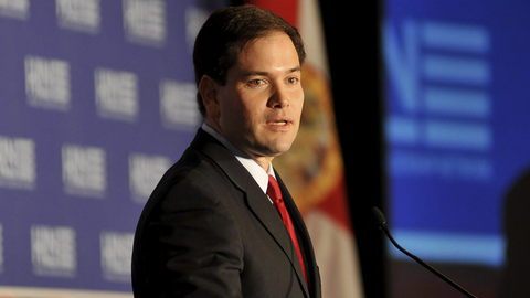 Arroyo le lanzó un reto al senador estadounidense de origen cubano Marco Rubio para que ayude a Daniela.