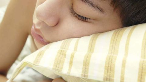 El no dormir bien  perturba el equilibrio de varios sistemas celulares y químicos.