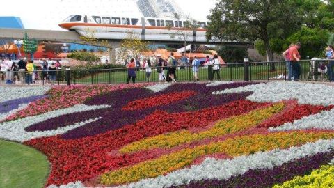 Epcot, uno de los parques temáticos de Disney, recibió  la primavera con un festival que reúne 30 millones de flores y 240 jardines.