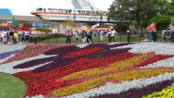 Epcot, uno de los parques temáticos de Disney, recibió  la primavera con un festival que reúne 30 millones de flores y 240 jardines.