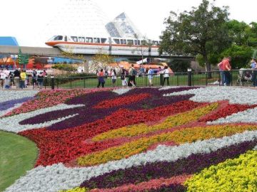 Epcot, uno de los parques temáticos de Disney, recibió  la primavera con un festival que reúne 30 millones de flores y 240 jardines.