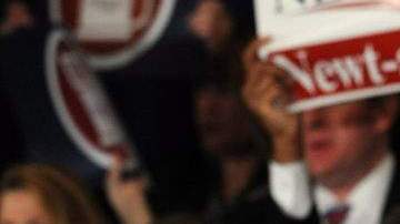 Ahora su cuidado quedará en manos del gobierno.