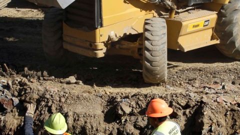 La economía ha comenzado finalmente a cobrar bríos, y los consumidores y empresas se muestran más optimistas.