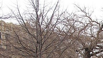 El 10 de marzo de2010 varios jóvenes dijeron públicamente por primera vez que se encontraban en el país sin documentos legales.