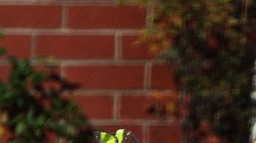 Pronto habrá oferta de jugos naturales en Starbucks.