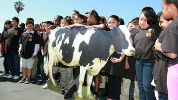 Para recibir los fondos, los estudiantes tuvieron que consumir leche y participar en un concurso.