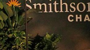 La muestra es parte de una exhibición del Museo Smithsonian de Historia Natural de Washington D.C.