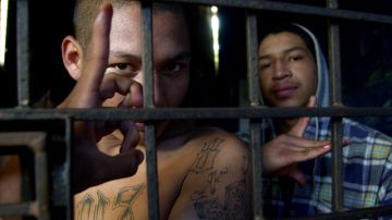 El gobierno salvadoreño mantiene detenidos a miles de pandilleros.