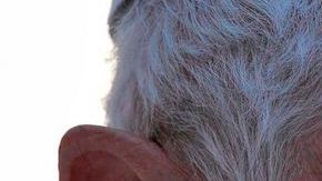 "Deseo reiterar con energía y claridad un llamado al pueblo mexicano a ser fiel a sí mismo y a no dejarse amedrentar por las fuerzas del mal...", manifesto Benedicto XVI.