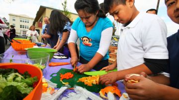 Niños de Monte Vista aprenden a preparar los vegetales de su huerto.
