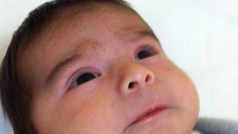 Si sus padres o familiares no lo identifican, el menor -que se estima tiene dos o tres meses de vida- pasará a un hogar de crianza.