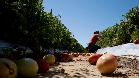 Campesinos en Alabama.