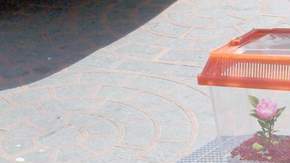 Una vendedora  en una esquina de la calle Santee.