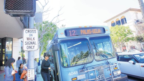 Programa subsidiado bajó el uso del auto.