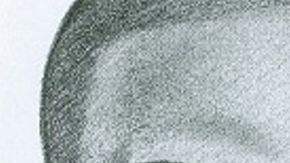 Este es el boceto del sospechoso de la violación de anoche.