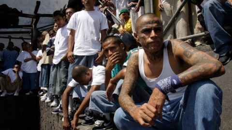 Los Zetas reconocen y buscan el nivel de sofisticación que tienen las 'maras', que están muy organizadas.