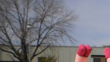 La avaricia corporativa de las grandes empresas es representada simbólicamente por medio de la figura de este cerdito color rosa.