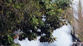 Los bomberos inspeccionan el edificio de apartamentos de Modesto donde se encontró el cuerpo calcinado del hombre que aparentemente mató a un agente del sheriff y a un civil.