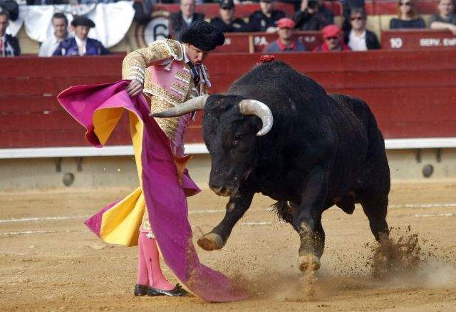 Piden Prohibir Las Corridas De Toros En México La Opinión 