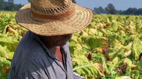 Un campesino se cubre del sol con un sombrero.