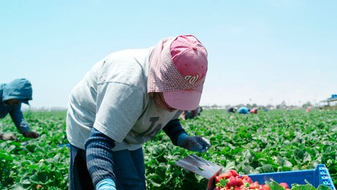 El acta de empleos agrícolas y estabilización industrial beneficiaría a cientos de miles de trabajadores.