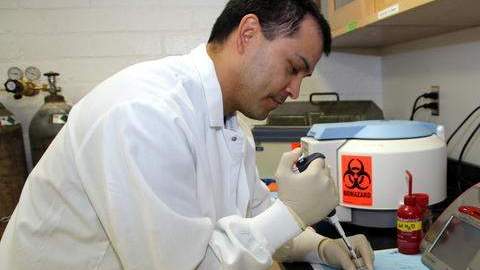 Un científico trabajo en iInvestigaciones contra el cáncer.