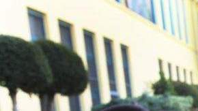 Lo que más se reporta es el abuso físico.