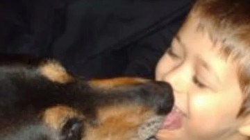 En una parte del video  se escucha a uno de los maestros decir: "Ay Akian,  tú eres un bastardo”.