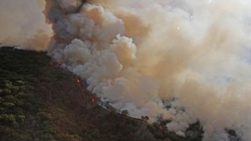 El incendio en el bosque La Primavera afecta las actividades al aire libre en la ciudad de Guadalajara y no respeta a los equipos de futbol.