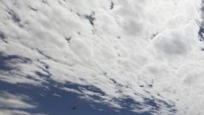 El turismo genera más de medio millón de empleos en Los Ángeles.