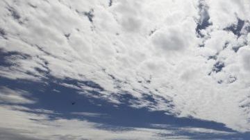 El turismo genera más de medio millón de empleos en Los Ángeles.