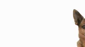 IM_20120426_NEWS05_120429555