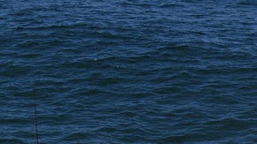 Tripulación del Aegean al principio de la fatídica carrera de Newport a Ensenada, el viernes pasado.